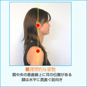 理想的な上半身の姿勢