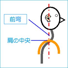 理想的な上半身の姿勢（解説）